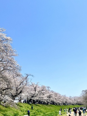 line_oa_chat_260411_065943